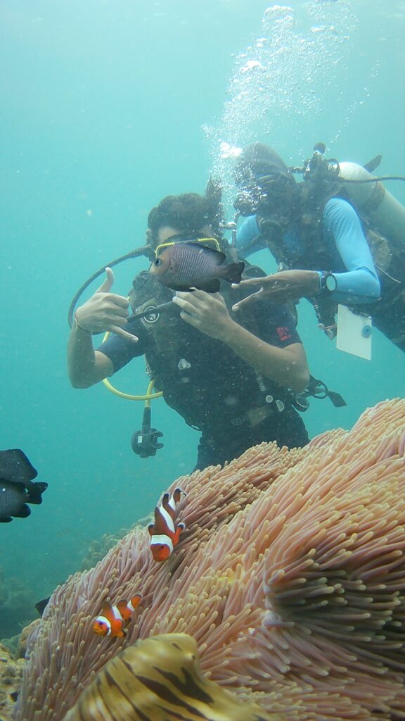 Scuba diving at Havelock Island, the top thing to do in the Andamans